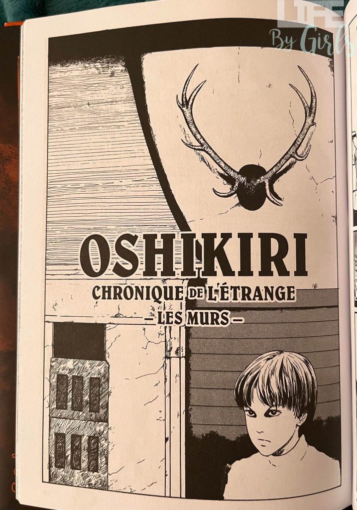 Frankenstein Oshikiri Chronique 2 